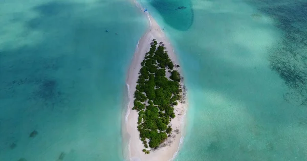 Krásný Výhled Ostrov Tropickými Stromy Asii — Stock fotografie