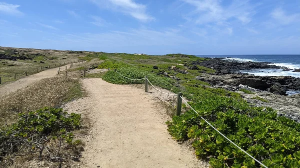 Sentiero Sterrato Ricoperto Piante Selvatiche Una Spiaggia Rocciosa Contro Cielo — Foto Stock