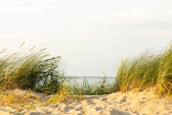 阳光普照的北海上的沙丘 — 图库照片