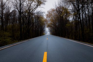 Gündüz vakti bulutlu bir gökyüzünün altında sonbahar ormanlarından geçen asfalt bir yolun güzel bir görüntüsü.