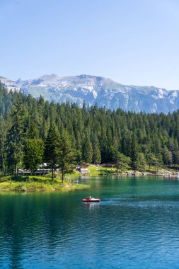 İsviçre, Grisonlar yakınlarındaki Caumasee Gölü 'nde doğanın dikey bir fotoğrafı.