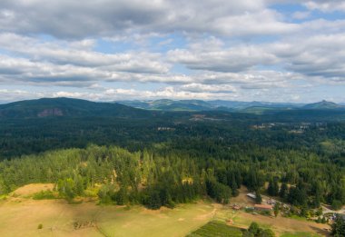 Washington 'daki Rainier Dağı' nın bulutlu bir ağustos gününde manzarası