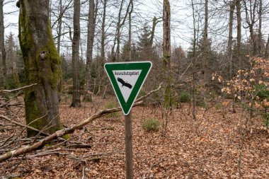Almanya 'da bir ormanda doğa rezervi tabelasına yakın çekim.