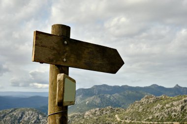 Yeşil alandaki bir tabelaya yakın çekim.
