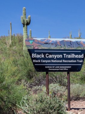 Arka planda mavi gökyüzüne karşı Saguaro Kaktüsüyle birlikte Kara Kanyon patika tabelasının dikey çekimi.