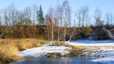 Bazı yapraksız ağaçlar gün içinde kısmen karla kaplı bir tarlada yetişiyor..