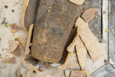 İçinde toprak olan kırık bir çömleğin üst görüntüsü.