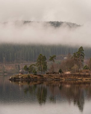 Schluchsee, Almanya 'da güzel bir gölün dikey çekimi