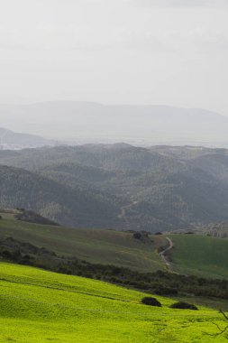 Güzel dağların dikey görüntüsü..