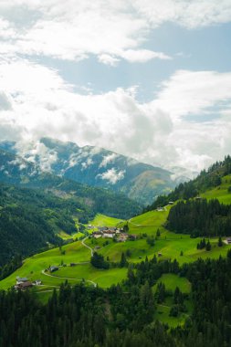 Ot kaplı dağların dikey görüntüsü bulutlu gökyüzünün altında ağaçlarla kaplı yamaçlar.