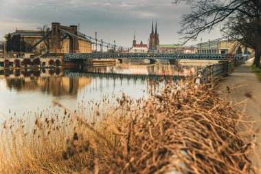 Odra nehri, Breslau şehir binalarını ve sudaki yapraksız ağaçları yansıtır..