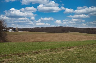 Kırsaldaki bulutlu mavi gökyüzünün altındaki çimenli tarlaların güzel bir manzarası.
