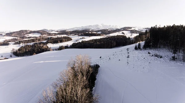 Flygfoto Över Ett Snöigt Landskap Med Gröna Tallar Solig Dag — Stockfoto