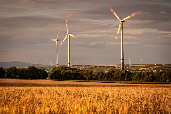Wheat Field Wind Turbines Rhine Hessen Germany — Stock Photo, Image