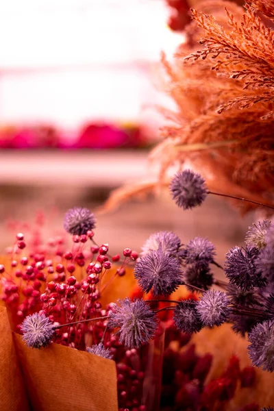 Närbild Blommor Och Växter Suddig Bakgrund — Stockfoto