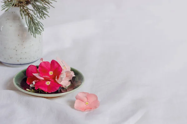 清新で静かな白を基調とした華やかな花々の構成春の美意識 — ストック写真