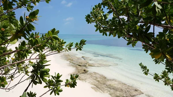 Ein Malerischer Blick Auf Einen Sandstrand Und Ein Blaues Meer — Stockfoto