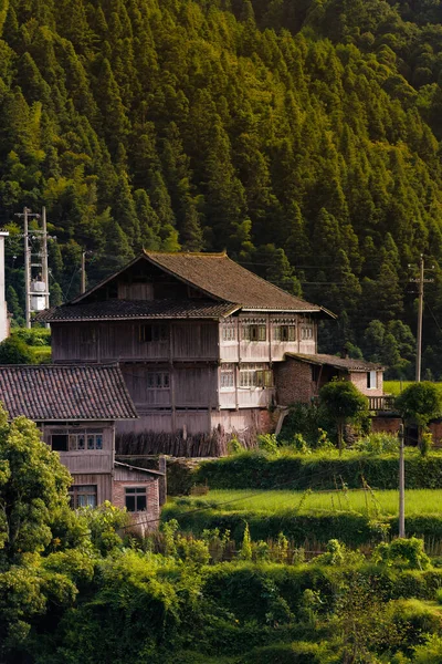 Çin 'in Guizhou Eyaleti' ndeki Langde Miao Azınlık Köyü 'ndeki geleneksel evlerin güzel bir fotoğrafı.