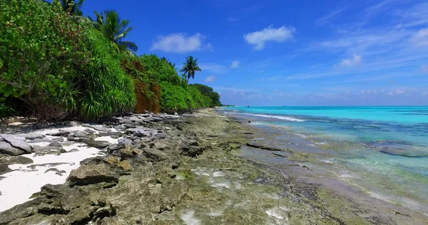 Ein Tropischer Türkisfarbener Strand Mit Bäumen Und Bemoosten Felsen — Stockfoto