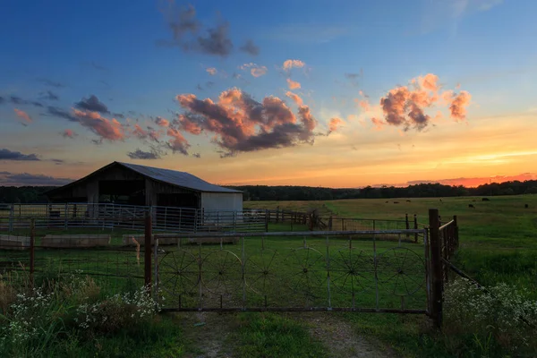 Belo Campo Rural Sob Céu Nublado Pôr Sol — Fotografia de Stock