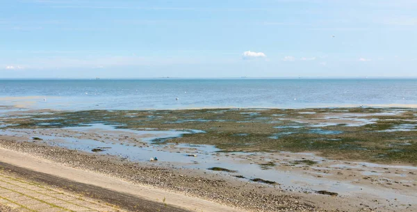 North Sea Beach Blue Sky Clouds — Stock Photo, Image