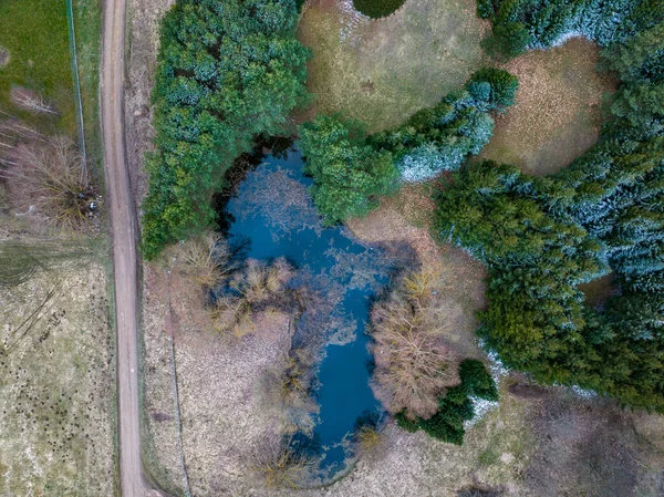 Aerial Shot Landscape Small Lake Surrounded Trees Field — стоковое фото