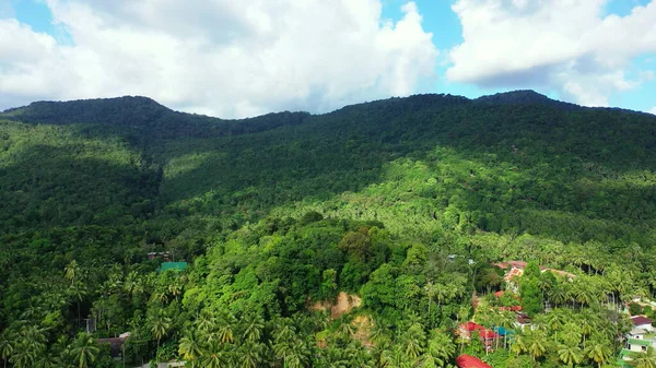 曇り空の下での熱帯雨林の山々の美しいショット — ストック写真