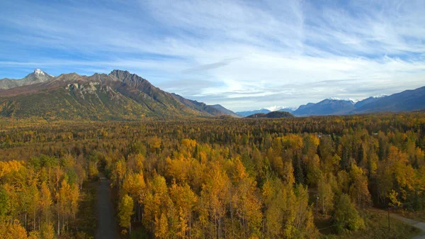 アラスカのパーマーの山に対して秋の木に囲まれたMatanuska川の空中写真 — ストック写真