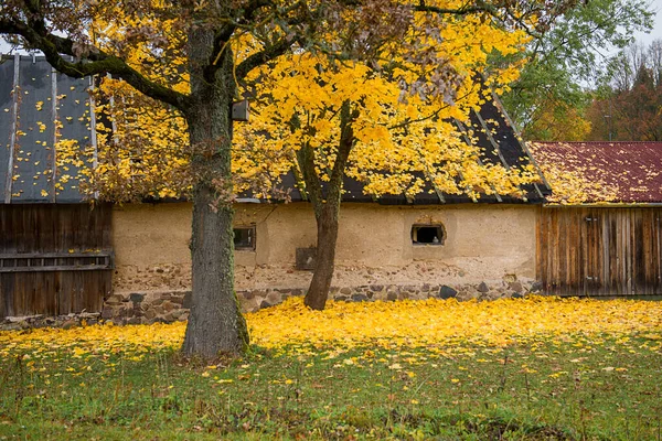 Paesaggio Panoramico Villaggio Durante Autunno — Foto Stock