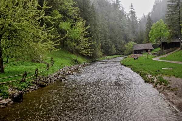 Een Prachtig Schot Van Rivier Het Park Slowakije — Stockfoto