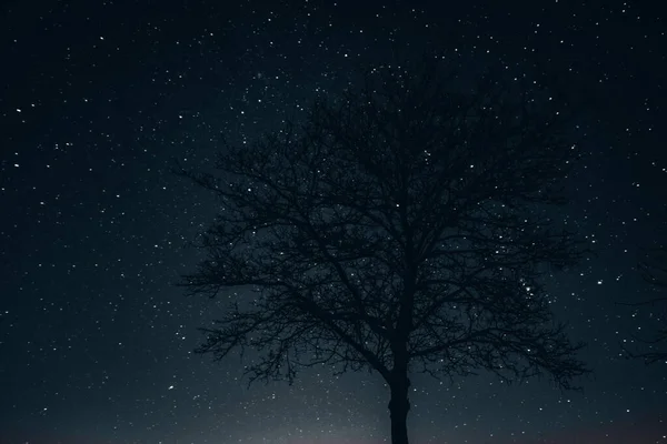 Gece Yarısı Yıldızların Samanyolu Nun Güzel Manzarası — Stok fotoğraf