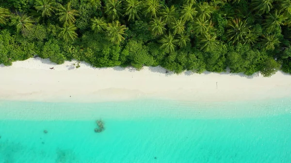Вид Тропический Пляж Мальдивах — стоковое фото