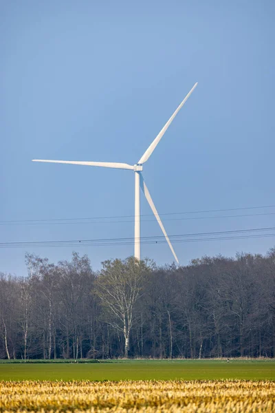 Vertical Shot Windmill Province Limburg Netherlands — Stock Photo, Image