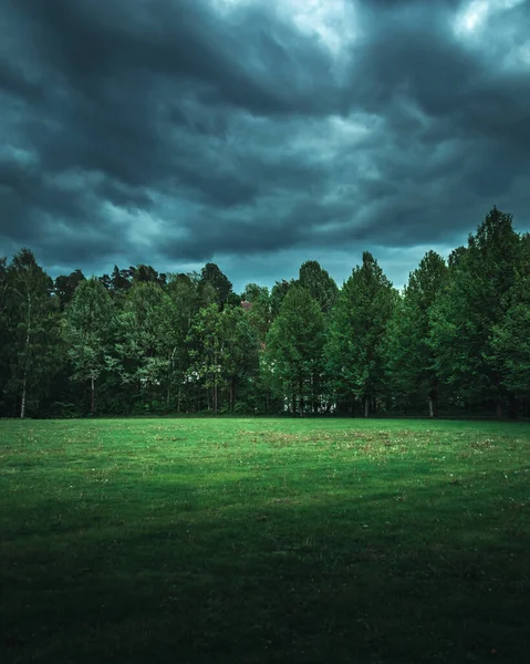 Vacker Grässlätt Med Gröna Träd Linje Mot Dramatisk Grå Himmel — Stockfoto