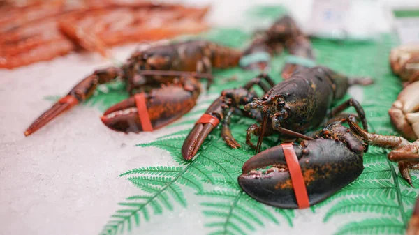 Gros Plan Crabes Marché — Photo