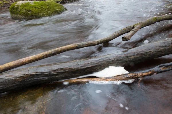 サラカ川は苔むした石 ラトビア スタイセレを流れている — ストック写真