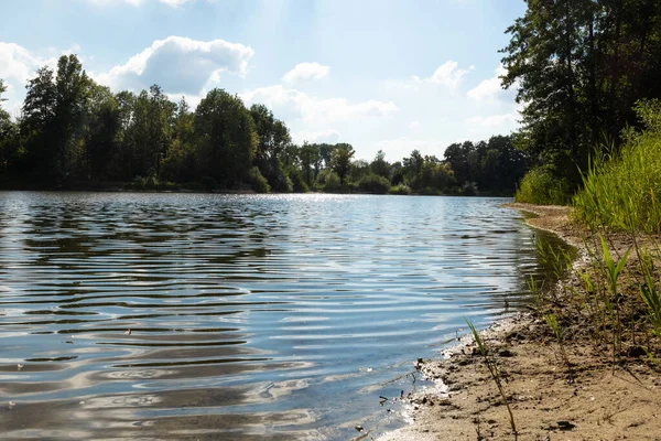 Прекрасный Вид Озеро Германии Деревьями Отражением Воде — стоковое фото