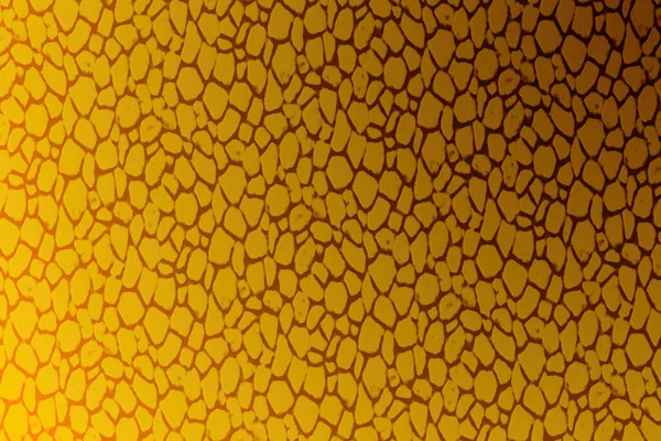 Abstrakcyjne Tło Żółtych Komórek Idealne Tapety — Zdjęcie stockowe