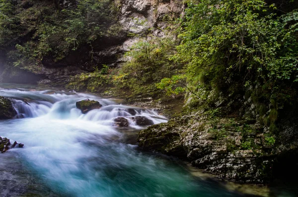 森の中の小さな滝のパノラマビュー — ストック写真