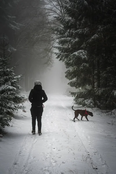 一个女人和她的狗在被树木环绕的雪地上散步的垂直镜头 — 图库照片