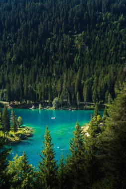 İsviçre, Grisonlar yakınlarındaki Caumasee Gölü 'ndeki ağaçların dikey fotoğrafı.