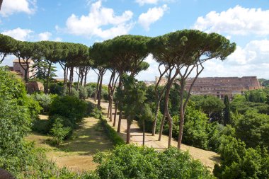 Roma, İtalya 'daki Palatine Hill' e karşı yeşil ağaçların ve çalıların manzaralı manzarası