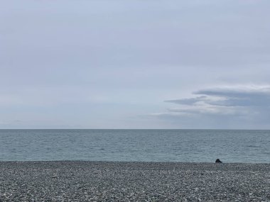 Georgia, Batumi 'de bulutlu gökyüzüne karşı deniz manzarası çok güzel.
