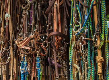 Hafif bir günde renkli deve aksesuarlarının yakın plan çekimi.