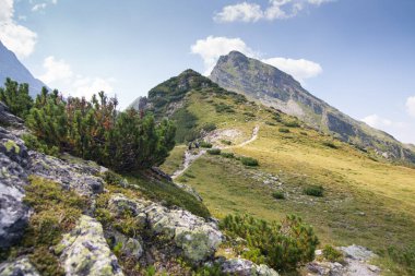 Güneşli bir günde yeşil çimenler ve çalılarla kaplı kayalık bir dağda yürüyüş yapan insanların manzarası.