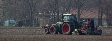 Hollanda, Nederweert 'te bakım işi yapan bir adamla tarlayı süren bir Fendt traktörü.