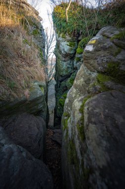 Kasvetli bir günde Slovakya 'daki Chachtice Kalesi' nin kalıntılarının dikey çekimi