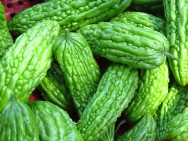 Acı kavunlara yakın çekim