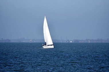 Hollanda, Flevoland 'da beyaz bir yelkenli.