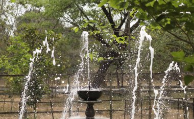 Parktaki çeşmeden akan suyun manzarası.